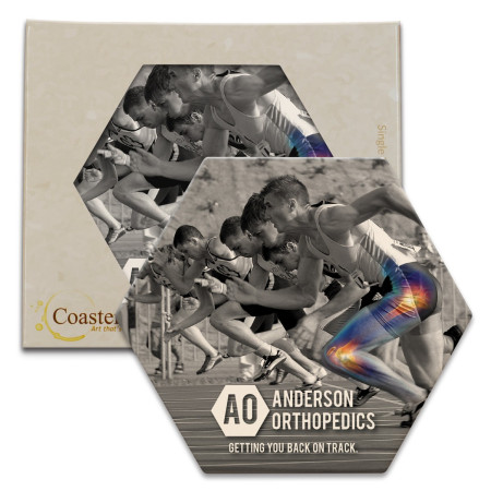 CoasterStone Hexagon Absorbent Coasters