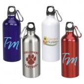 22 oz. ValueLine Stainless Steel Bottles