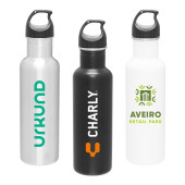 24 oz. Bolt Stainless Steel Water Bottle