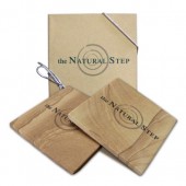 Stone Coasters - Boxed Set of 2