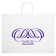 White Kraft Shopping Bags (16" x 12" x 6")