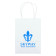 White Kraft Shopping Bags (6" x 8.25" x 3.25")